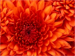 Sumit profile picture