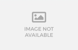 Monika Patel profile picture
