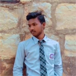 Ganesh prakash meshram profile picture