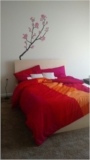 Praveen room photo