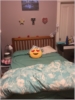 Yosha Patel room photo
