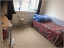 Mamuni M room photo