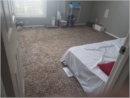 sree room photo