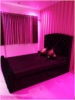 vaibhavi room photo