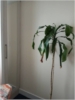 Minu room photo