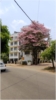 Sweta Sahu room photo