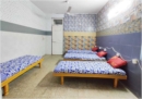 Owner Fenil Jaypal room photo