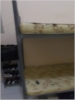 zishan room photo