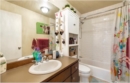 Palmer cate room photo