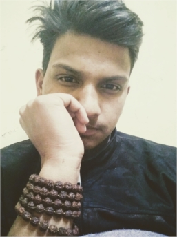 Mukesh chauhan profile picture