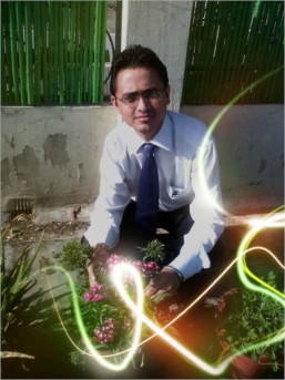 Amit Negi profile picture