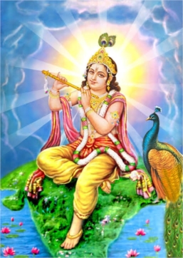 devendraSahoo profile picture