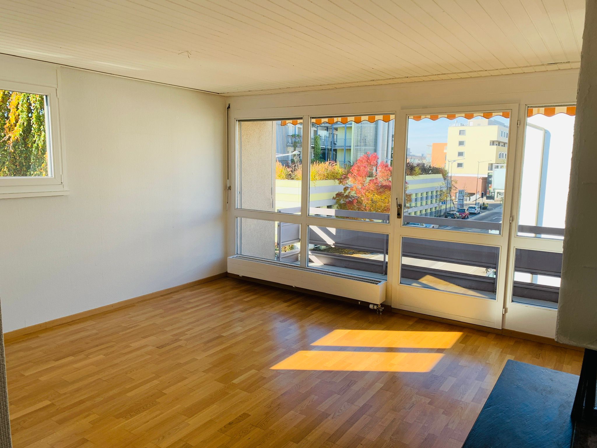 zurich Share Apartments Desi Roomate Rent Rooms