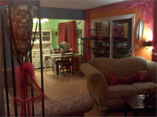 shawnon room photo