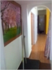shriva room photo