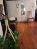 Jayashree Zute room photo