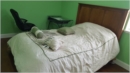 ABHAYA K SWAIN room photo